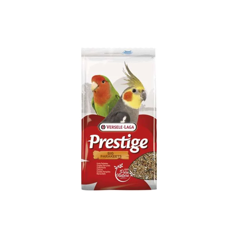 allesvoorongedierte2702265