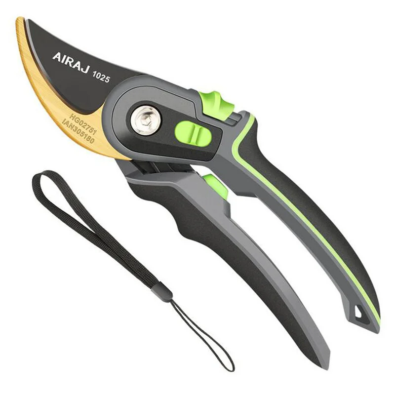 allesxl-12725226