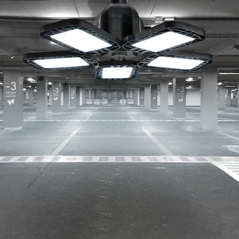 allesxl-23049578