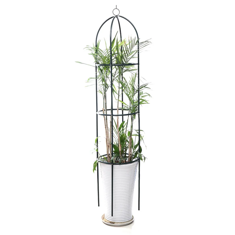 allesxl-32401572