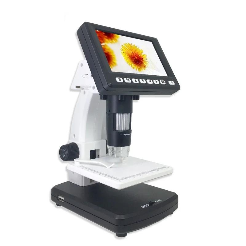 allesxl2501151