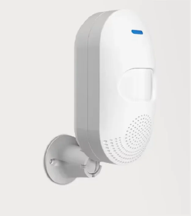 allesxl2502556