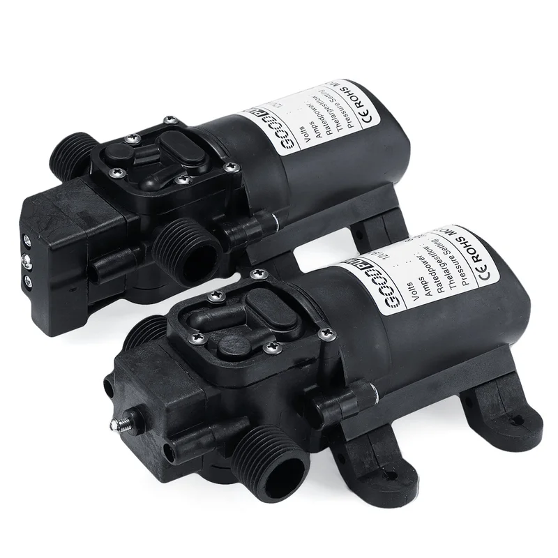 allesxl2565208