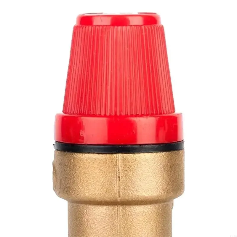 allesxl2668235