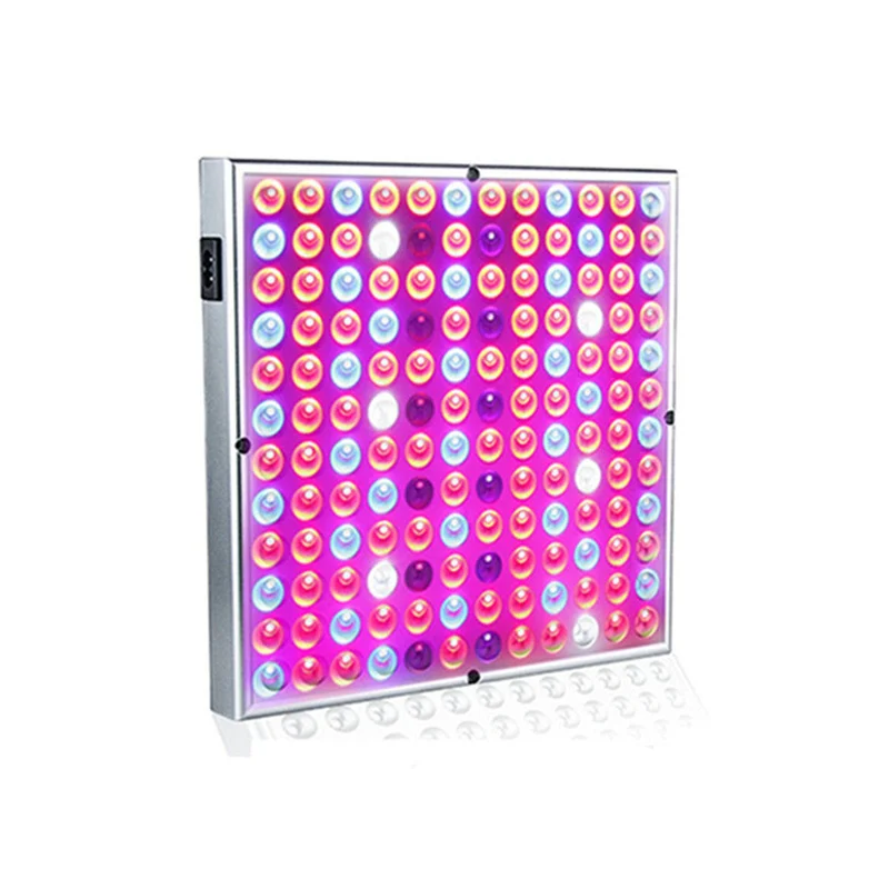 allesxl2895507