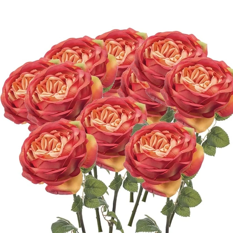 shoppartners-22866540