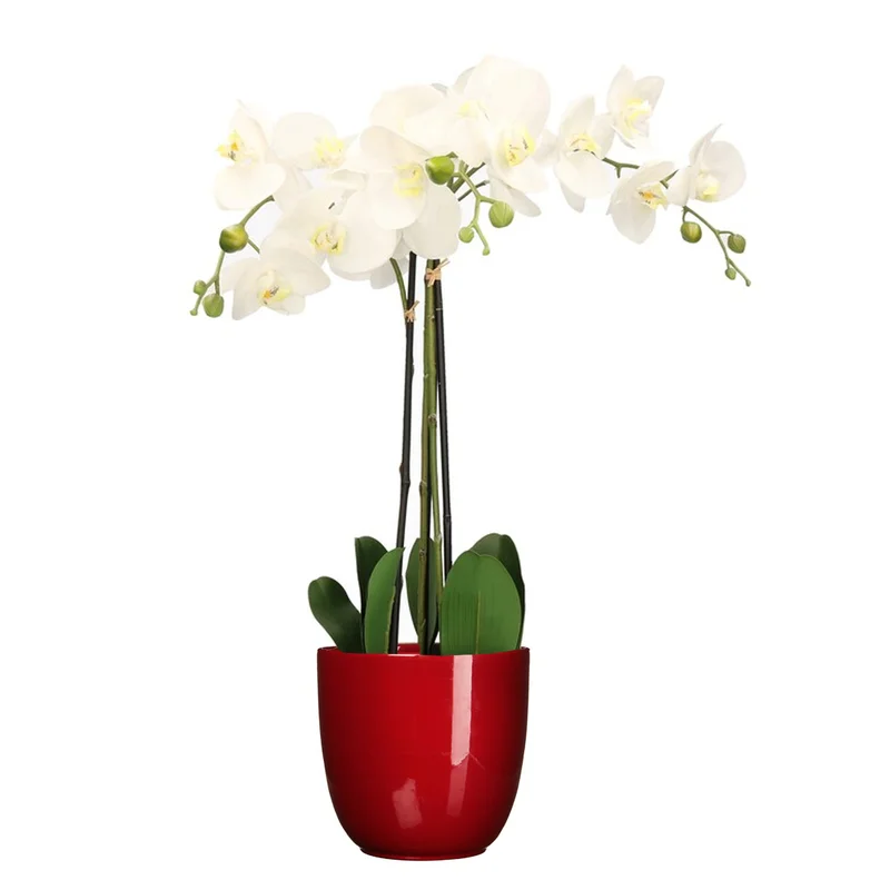 shoppartners-32602276