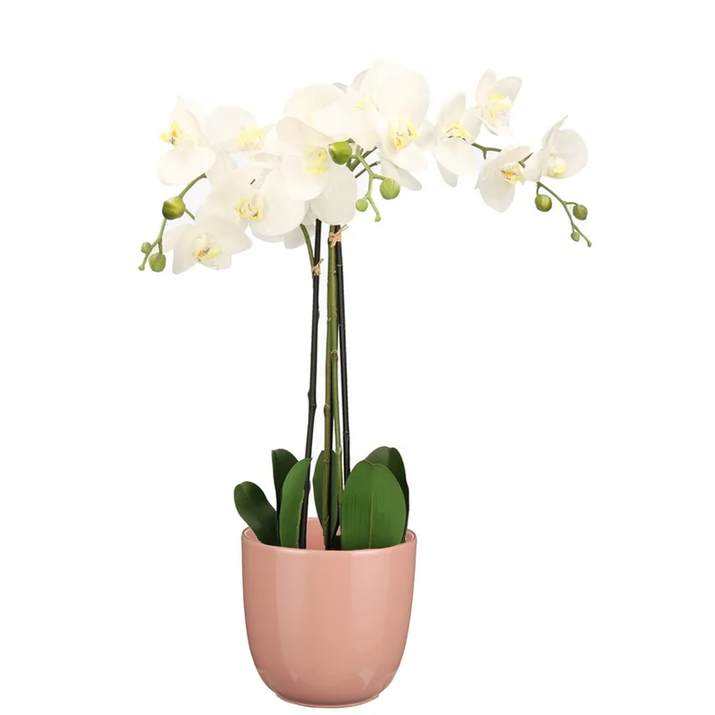 shoppartners-32602389