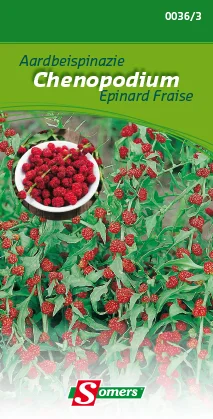 suprabazar-32840833