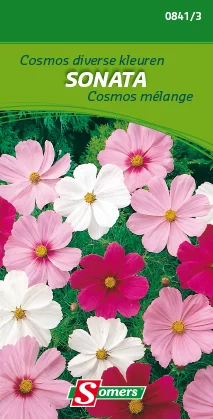suprabazar-32846326