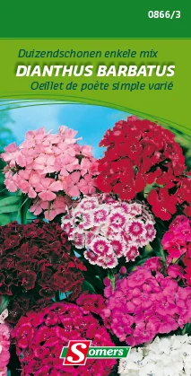suprabazar-32881745
