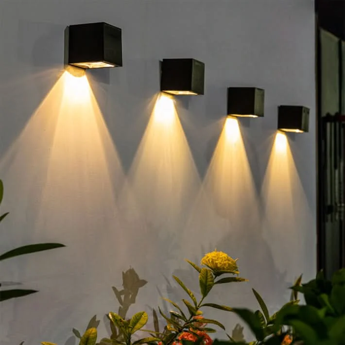 varenzo2514539
